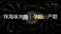 珠海啄木鸟｜孕期、产期
、哺乳期不可辞退  勇敢向“三期”侵权说“不”！