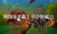 珠海啄木鸟｜平沙新城公交出行难
，如何解决	？回应来了