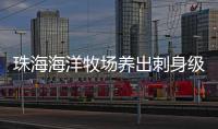 珠海海洋牧场养出刺身级美味�	！10万斤章红鱼抢“鲜”上市