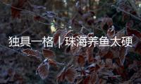 独具一格｜珠海养鱼太硬核�！CGTN记者直呼Amazing！