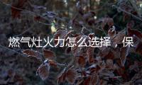 燃气灶火力怎么选择�	，保留营养还成就美味!