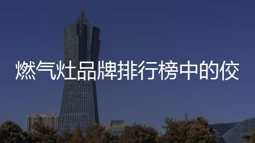 很多家庭在升级燃气灶时