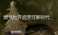 燃气灶开启烹饪新时代，丰蓝1号燃气灶电池赋能美味佳肴