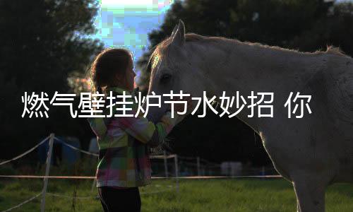 壁挂这样也增添了耗气量