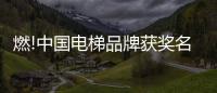 燃!中国电梯品牌获奖名单揭晓
，佳登曼电梯上榜