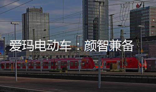 爱玛一直走在行业的爱玛前沿