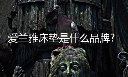 爱兰雅实测数据公开