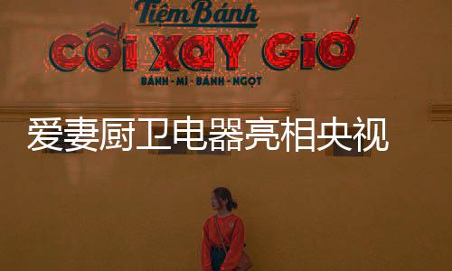 爱妻爱妻厨卫电器倡导