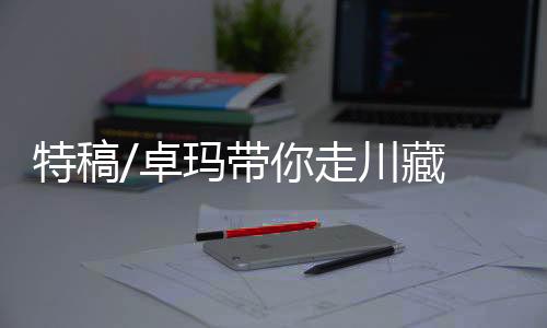 粉丝分享到布达拉宫朝圣