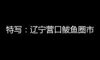 特写：辽宁营口鲅鱼圈市民以积极心态面对疫情
