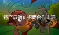 特产展销�、招商合作！阳西把商务服务中心建在斗门