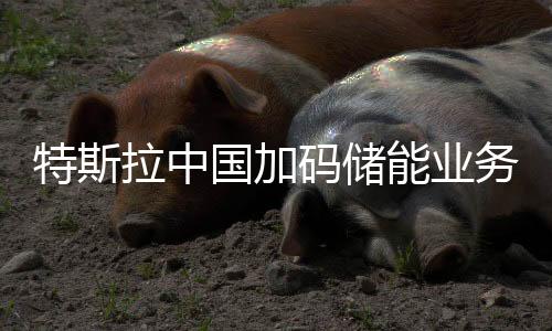 逆变器和温度系统集成安装