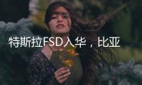特斯拉FSD入华，比亚迪发狠：车界战争“卷”到了智驾