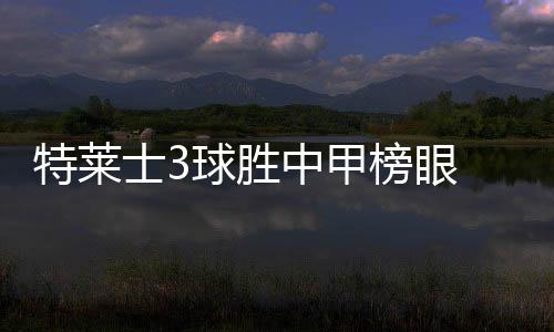 在球迷的片光助威声中