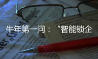 牛年第一问：“智能锁企业如何赢得市场?”