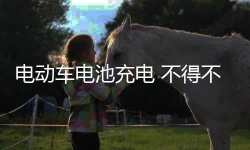电动电当充满时充电器绿灯亮