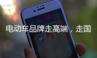 电动车品牌走高端，走国际化路线