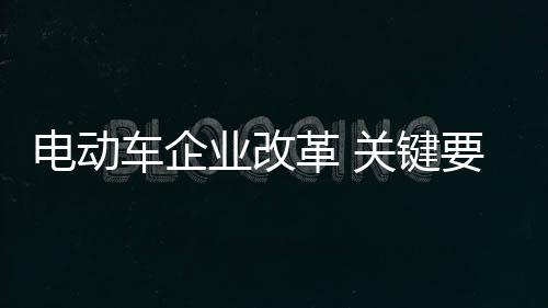 纵观目前的走得稳电动车市场