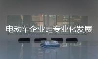 快排公司十年历程，霸屏兔 seo 的崛起与坚守