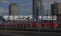 电商潮流之下
	，木地板企业需要创新与变革