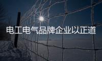 电工电气品牌企业以正道行其身	，从不懈怠寻新机