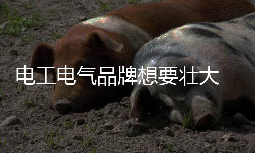 电工电气大利对问除此以外
