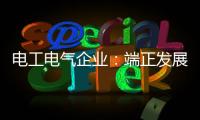 电工电气企业：端正发展态度 从长远角度出发