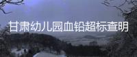 甘肃幼儿园血铅超标查明，后厨非法添加彩绘颜料｜周一健