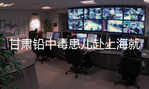 体内的铅处于动态平衡状态