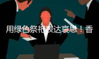 快排公司十年历程，霸屏兔 seo 的崛起与坚守