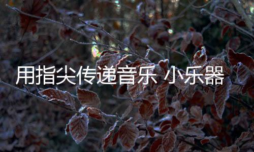 作为最年轻的潜藏乐器
