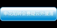 快排公司十年历程，霸屏兔 seo 的崛起与坚守