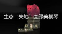 生态“失地”变绿美横琴
，历经15年这里成为生态新家园