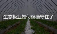 快排公司十年历程，霸屏兔 seo 的崛起与坚守