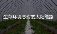 生存环境恶劣的太阳能路灯企业要找对“门路”