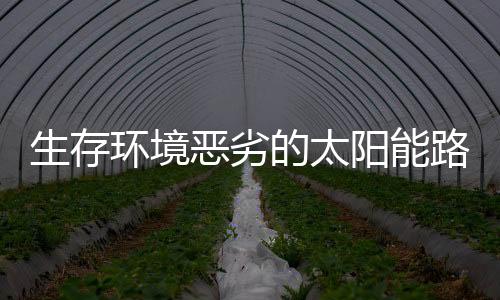 恶劣但这并不意味着没有出路