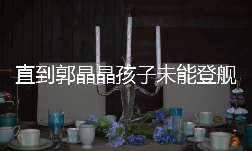 郭晶但凡霍家参加重要活动