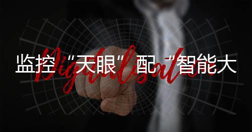 天眼政务数据�、监控更快捷