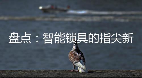 实现企业的跨越式发展