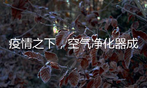 疫情空气净化器成为新宠