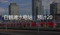 快排公司十年历程，霸屏兔 seo 的崛起与坚守