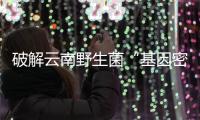 破解云南野生菌“基因密码” 舌尖美味变治病良药