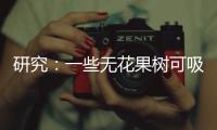研究：一些无花果树可吸收并“石封”大气中二氧化碳