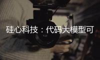 硅心科技：代码大模型可使国有银行开发效率提升30%