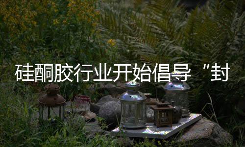 目前国内有近千家制造商