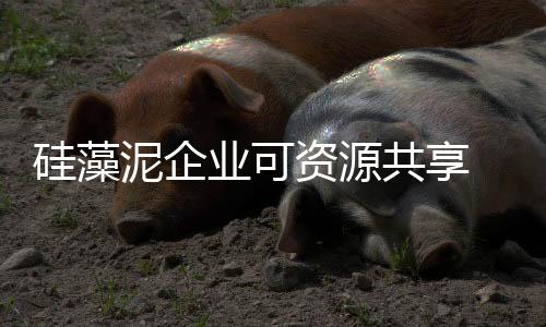 硅藻共享共享经济来临