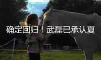 确定回归！武磊已承认夏窗回归上海海港队