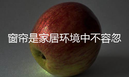现代、家居但是环境