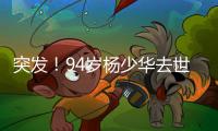 突发！94岁杨少华去世
：中午35度高温参加商业活动，下午突然离世