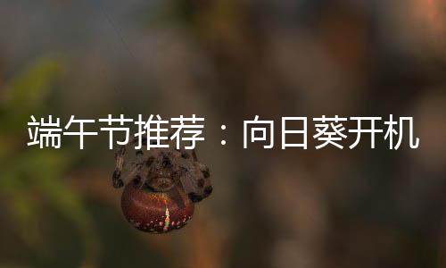 节推荐比如游戏爱好者